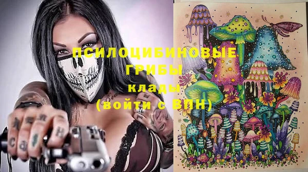 дживик Армянск