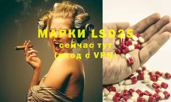 индика Балахна
