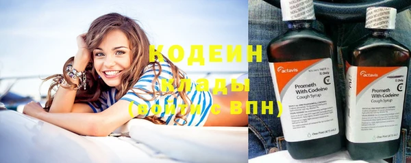 индика Балахна